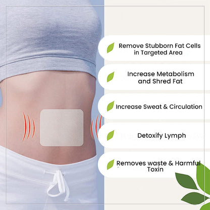 Oveallgo™ Belly Detox Patch